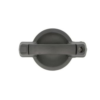 Poignée de porte BLIC 6010-07-029410LP pour FIAT DOBLO 1.9 JTD - 100cv