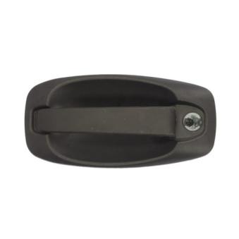 Poignée extérieure de porte avant gauche BLIC 6010-07-043401P