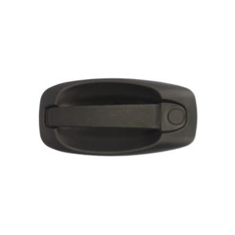 Poignée extérieure de porte avant droit BLIC 6010-07-043402P