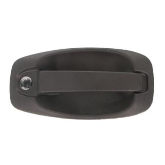 Poignée de porte BLIC 6010-07-043417P