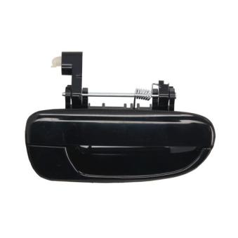 Poignée extérieure de porte arrière droit BLIC [6010-20-016404P]