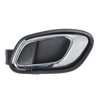 Poignet de porte, équipment intérieur arrière gauche BLIC 6010-53-043409PTP