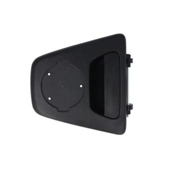 Poignée de hayon arrière gauche BLIC 6010-67-001417P