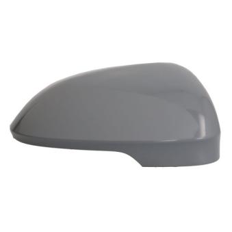 Revêtement, rétroviseur extérieur BLIC [6102-01-2297331P]