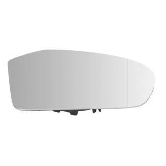 Verre de rétroviseur, rétroviseur extérieur BLIC OEM A1698100821