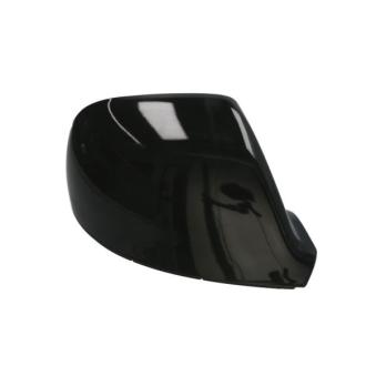 Revêtement, rétroviseur extérieur BLIC 6103-01-0104092P pour VOLKSWAGEN MULTIVAN 2.0 TDI - 114cv