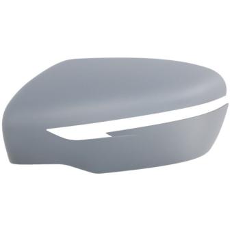 Boitier, rétroviseur extérieur BLIC [6103-01-1300000P]