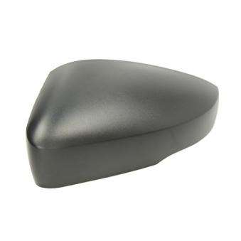 Boitier, rétroviseur extérieur BLIC [6103-01-1311113P]