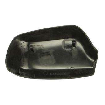 Boitier, rétroviseur extérieur BLIC [6103-01-1311991P]