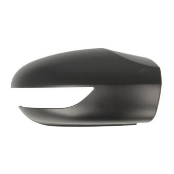 Boitier, rétroviseur extérieur BLIC OEM 1698110860