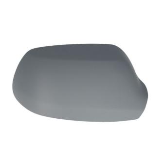 Boitier, rétroviseur extérieur BLIC [6103-01-1312991P]