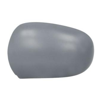 Boitier, rétroviseur extérieur BLIC OEM 7701471856