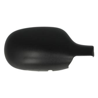 Boitier, rétroviseur extérieur BLIC 6103-01-1321218P