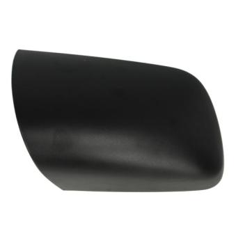 Boitier, rétroviseur extérieur BLIC 6103-01-1321231P