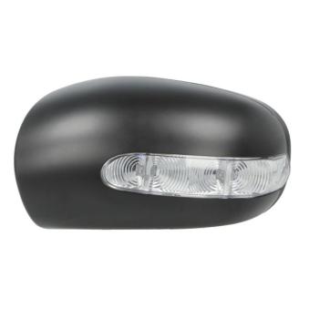 Boitier, rétroviseur extérieur BLIC 6103-01-1321796P