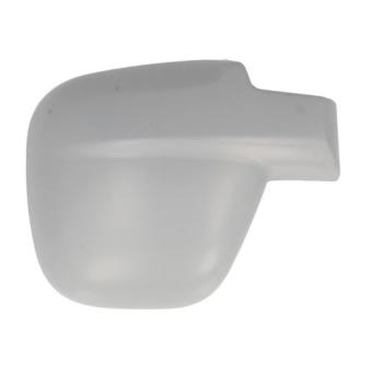 Boitier, rétroviseur extérieur BLIC 6103-01-1321993P