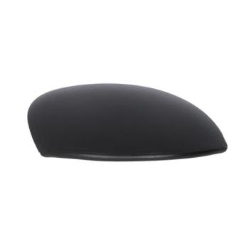 Boitier, rétroviseur extérieur BLIC 6103-01-1322281P