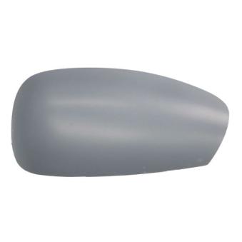 Boitier, rétroviseur extérieur BLIC 6103-01-1322282P