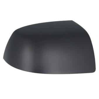 Boitier, rétroviseur extérieur BLIC 6103-01-1322378P