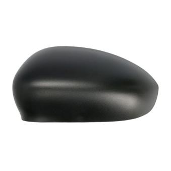 Boitier, rétroviseur extérieur BLIC [6103-01-1323933P]