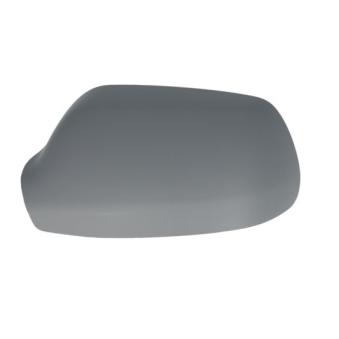 Boitier, rétroviseur extérieur BLIC [6103-01-1391991P]