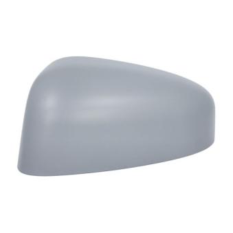 Boitier, rétroviseur extérieur BLIC [6103-03-2001277P]