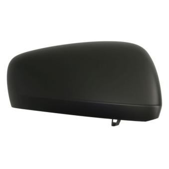 Revêtement, rétroviseur extérieur BLIC OEM 963743020R