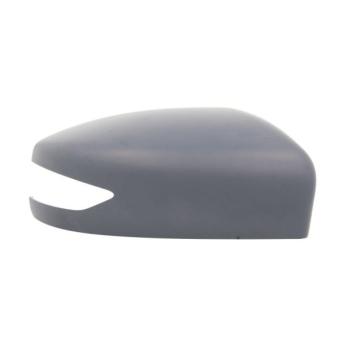 Boitier, rétroviseur extérieur BLIC [6103-16-2001952P]