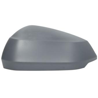 Revêtement, rétroviseur extérieur BLIC 6103-25-0067310P