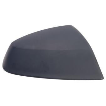 Revêtement, rétroviseur extérieur BLIC [6103-25-1875311P]
