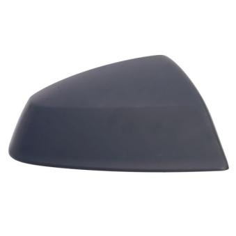 Revêtement, rétroviseur extérieur BLIC [6103-25-1875313P]