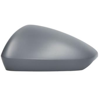 Revêtement, rétroviseur extérieur BLIC [6103-25-2320310P]