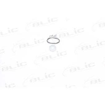 Kit de réparation, lève-vitre BLIC OEM 1Z1837461