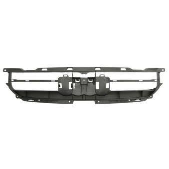 Support, grille de radiateur BLIC 6502-07-0029995P
