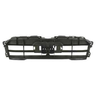 Support, grille de radiateur BLIC 6502-07-0029996P