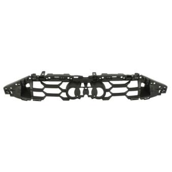 Support, grille de radiateur BLIC [6502-07-0039995P]