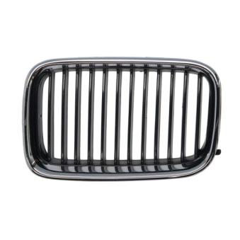 Grille de radiateur BLIC 6502-07-0060991P