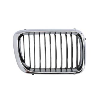 Grille de radiateur BLIC 6502-07-0060998P