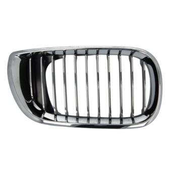 Grille de radiateur BLIC 6502-07-0061992PP