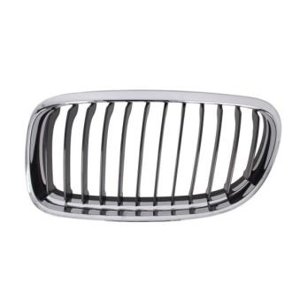 Grille de radiateur BLIC 6502-07-0062991AP