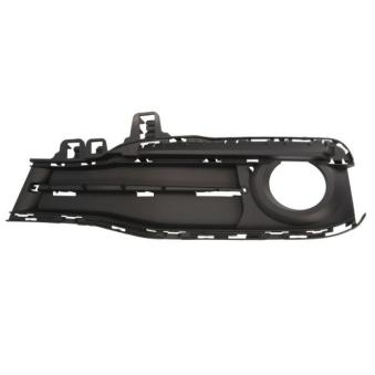 Baguette et bande protectrice, grille de radiateur avant gauche BLIC 6502-07-0063915SP