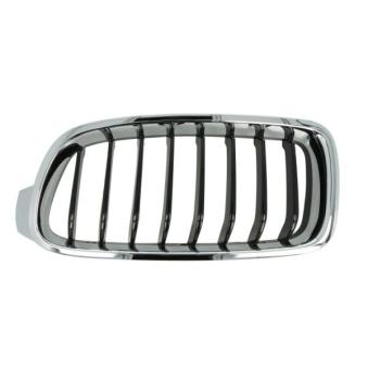 Grille de radiateur BLIC 6502-07-0063995P