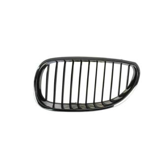Grille de radiateur avant gauche BLIC 6502-07-0066991P