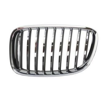 Grille de radiateur avant gauche BLIC 6502-07-00679911P