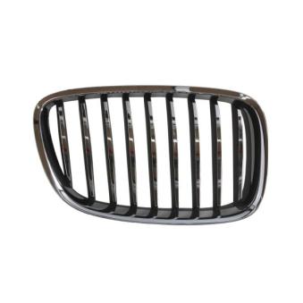 Grille de radiateur avant droit BLIC [6502-07-00679922P]
