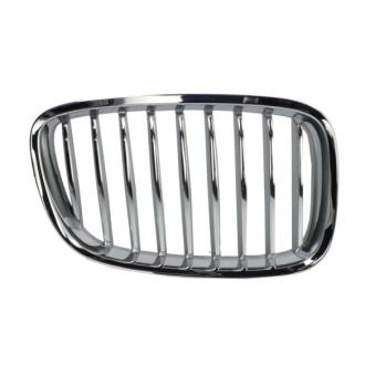 Grille de radiateur avant droit BLIC [6502-07-0067992GP]