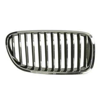 Grille de radiateur BLIC 6502-07-0067994P