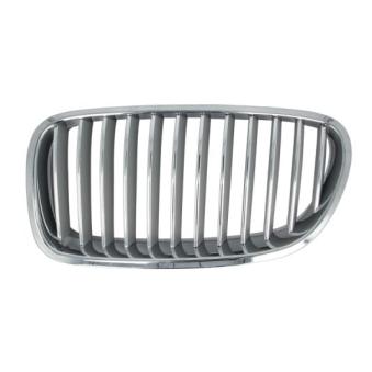 Grille de radiateur BLIC [6502-07-0067995P]