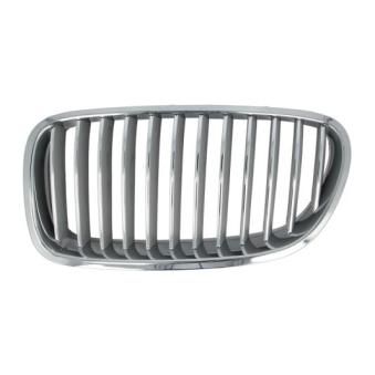 Grille de radiateur BLIC 6502-07-0067996P pour PEUGEOT BOXER 523 i - 204cv