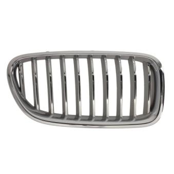 Grille de radiateur avant droit BLIC [6502-07-0067998CP]